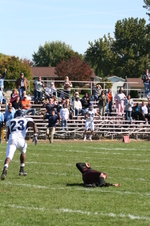 Enlarge photo 378