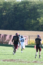 Enlarge photo 382