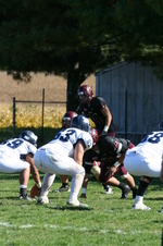 Enlarge photo 384