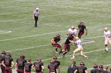 Enlarge photo 82