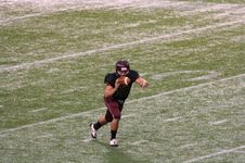 Enlarge photo 93