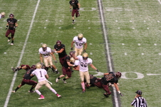 Enlarge photo 99