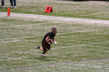Enlarge photo 113