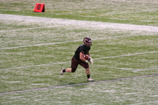 Enlarge photo 114