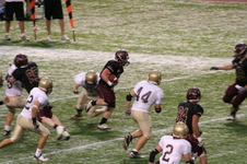 Enlarge photo 115