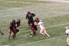 Enlarge photo 129