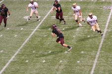 Enlarge photo 147