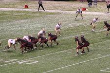 Enlarge photo 154