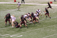 Enlarge photo 155