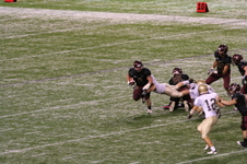 Enlarge photo 290