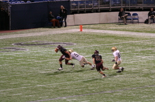 Enlarge photo 300