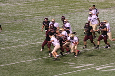 Enlarge photo 303