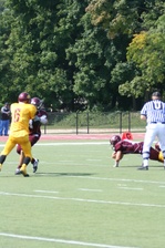 Enlarge photo 105