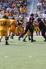 Enlarge photo 194