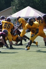 Enlarge photo 229
