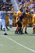 Enlarge photo 248