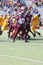 Enlarge photo 257