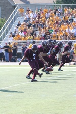 Enlarge photo 309