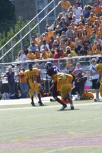 Enlarge photo 372