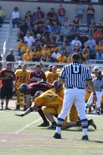 Enlarge photo 412
