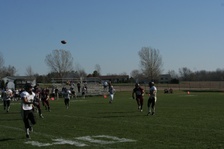 Enlarge photo 225