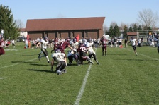 Enlarge photo 233