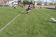 Enlarge photo 238