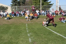 Enlarge photo 250