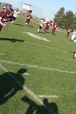 Enlarge photo 320