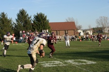 Enlarge photo 447