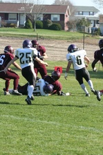 Enlarge photo 155