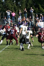 Enlarge photo 192