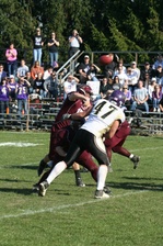 Enlarge photo 199