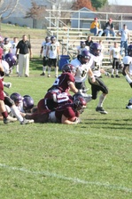 Enlarge photo 216