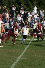 Enlarge photo 342