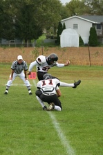 Enlarge photo 44