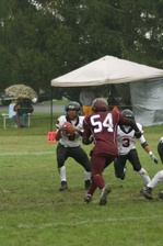 Enlarge photo 102