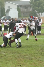 Enlarge photo 234
