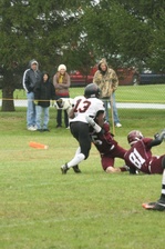 Enlarge photo 115