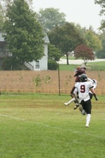 Enlarge photo 156