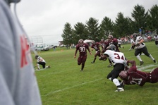 Enlarge photo 203