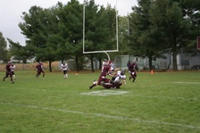 Enlarge photo 204
