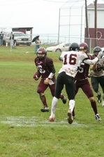 Enlarge photo 248