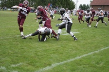 Enlarge photo 220
