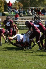 Enlarge photo 131