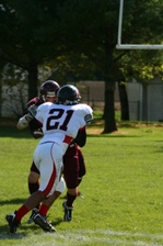 Enlarge photo 152