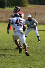 Enlarge photo 175