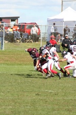 Enlarge photo 224