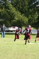 Enlarge photo 231