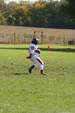 Enlarge photo 237
